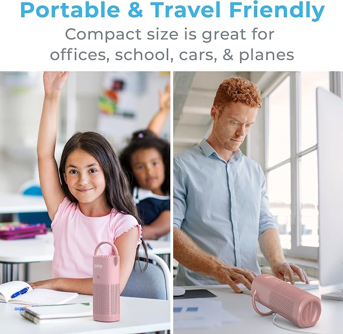 Pure Enrichment PureZone Mini Portable Air Purifier