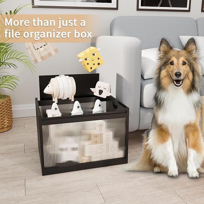 Black Bamboo & Acrylic File Box with Removable Lid, Letter/Legal Size, Hanging Folders, Dustproof, Home Office Storage