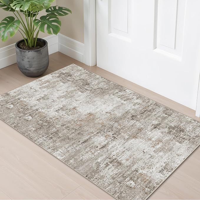 2x4 Washable Entryway Area Rug