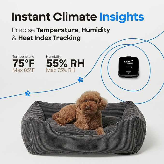 Waggle 4G Pet Temperature Monitor (Lite) - No WiFi Needed - Real Time App, SMS & Email Alerts - RV, Car & Home Safety Device - Power Outage Alerts - Subscription Required