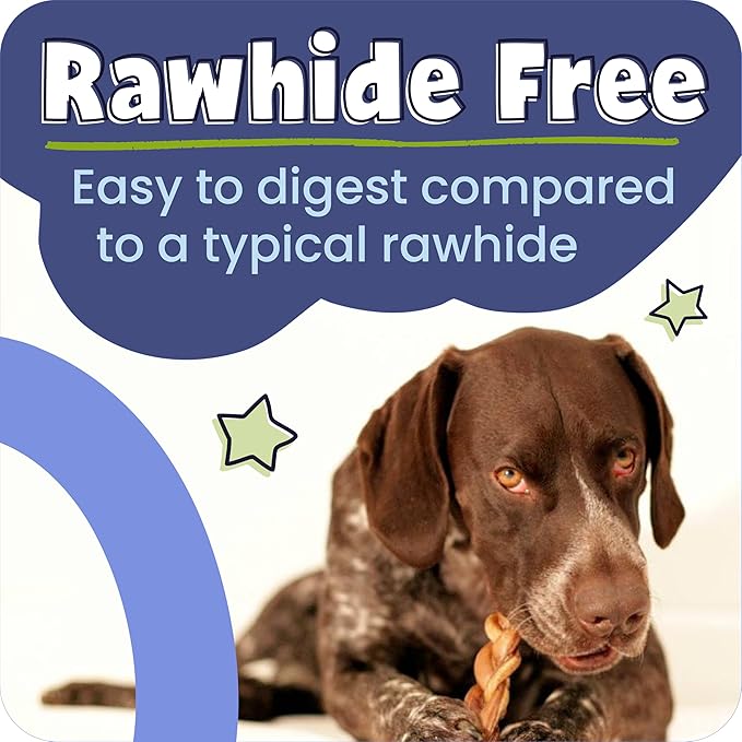 Pawstruck Natural 9" Braided Bully Sticks for Dogs - Long Lasting Rawhide Free Low Odor Single Ingredient Chew Treat for Aggressive Chewers - 1lb Bag
