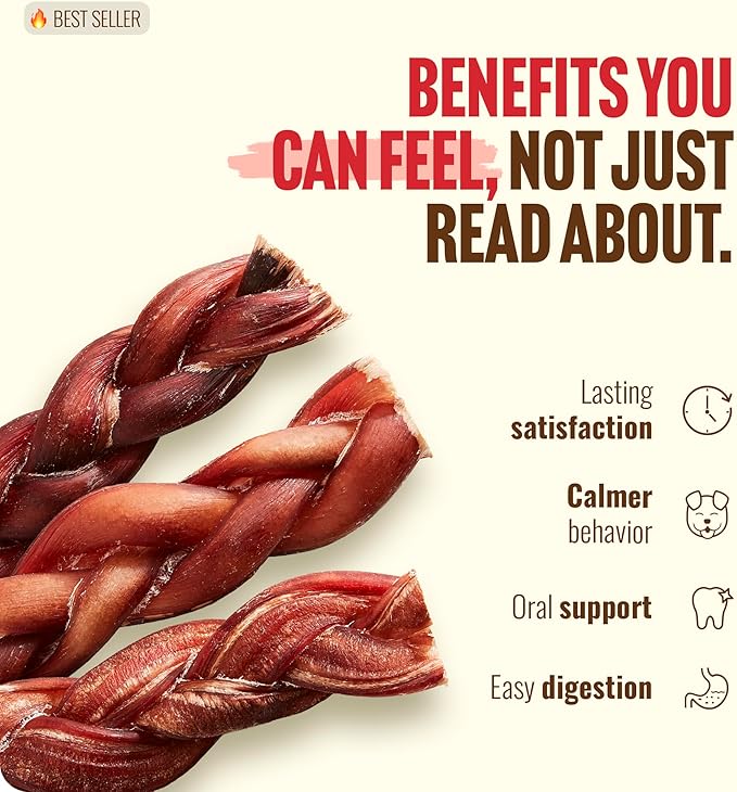 Natural Farm Odor-Free Braided Bully Sticks (6 Inch, 5 Pack) - 100% Grass-Fed Beef, Grain-Free, Low Fat & Fully Digestible Best Dental Treats - Safest Long Lasting Pizzle Chews to Keep Your Dog Busy