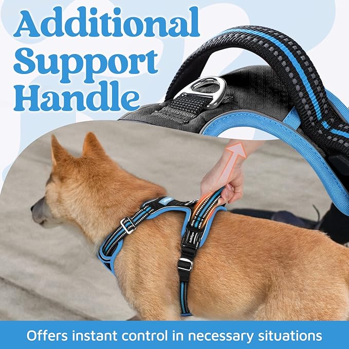 rabbitgoo Dog Harness for Large Dogs, No Pull Pet Vest with 3 Buckles, Adjustable Soft Padded Pet Harness with Easy Control Handle and Reflective Strips, Black & Sky Blue, L