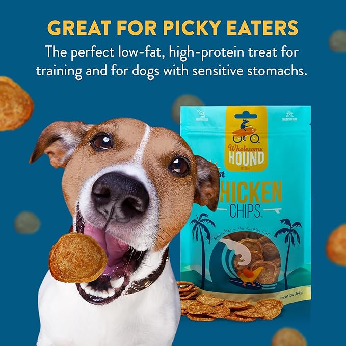 Chicken Chips – Single Ingredient Dog Treats, All Natural & Healthy Training Snacks for Small, Medium & Large Breeds, Puppies – High Protein, Made in US 16oz
