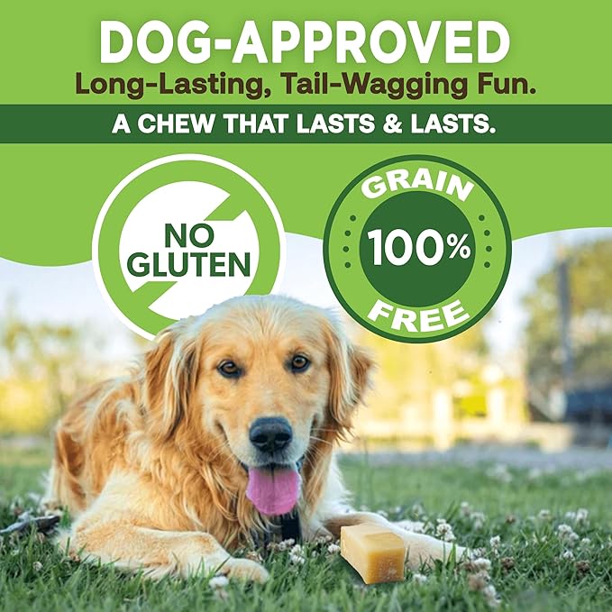EcoKind Premium Gold Yak Cheese Himalayan Dog Chews, Dog Treats for Medium Dogs, All Natural, High Protein, for Aggressive Chewers, Medium - 6 Chews