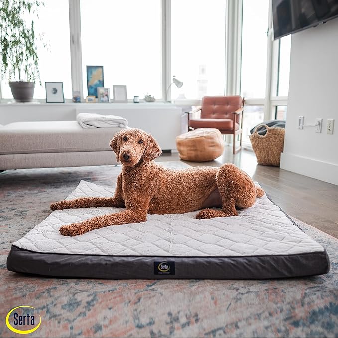 Serta Orthopedic Quilted Pillow Top Dog Bed for Pets – Slate Gray (X-Large)