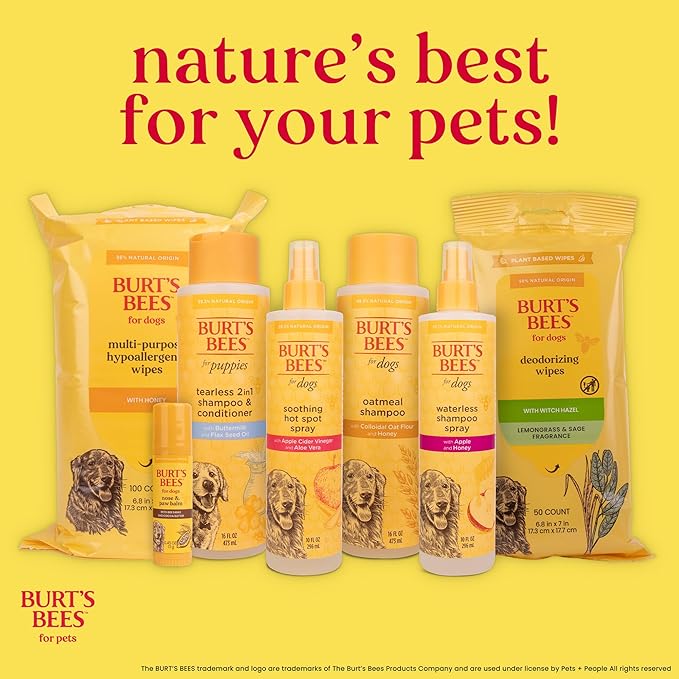 Burt's Bees for Pets Dog Paw and Nose Lotion with Rosemary and Olive Oil, Moisturizing Paw Balm for Dry Cracked Pads and Dog Nose Butter Moisturizer, Paw Lotion for Dogs Skin Care, 4 Fl Oz - 2 Pack