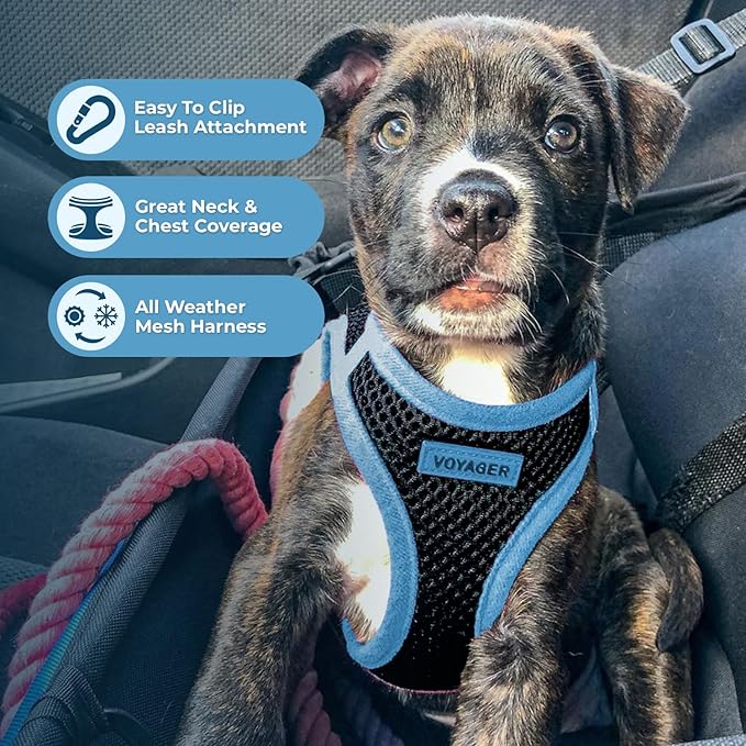 Best Pet Supplies - All Weather Mesh/Plush, Reflective, No Pull Harness for Small, Medium Dogs, Cats - Secure with Hook & Loop Fastener, Buckle, Double D-Rings - Black/Blue Trim, XS