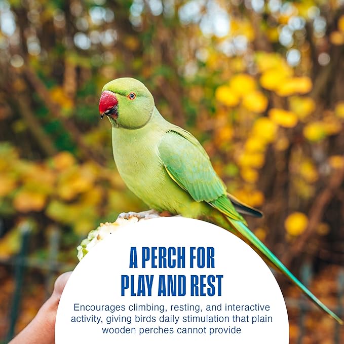 Penn-Plax Bird-Life Cement Trimmer-Perch, Naturally Trims Nails & Beak - Easy-Mounting Bird Perch Stand for Cages - Great for Parrots, Cockatoos, Macaws, Medium & Large Birds - Purple, 10 Inch