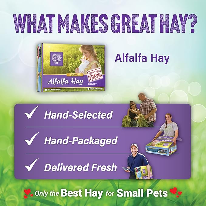 Small Pet Select Alfalfa Hay Pet Food, 20 LB