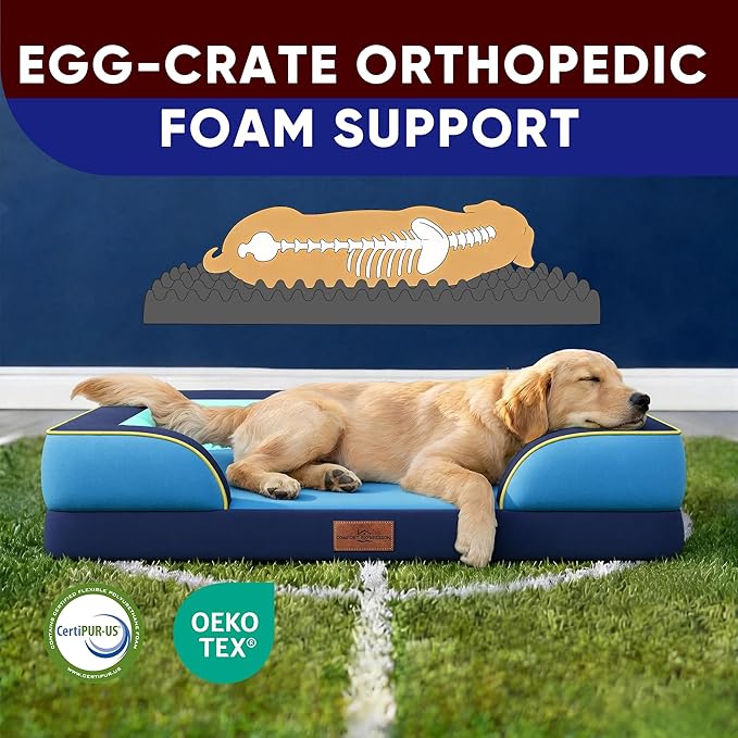 Comfort Expression Orthopedic Dog Bed for Extra Large Dogs 45x35 Inch, Waterproof Egg Crate Foam XL Pet Bed with Removable Bolsters, Dog Couch with Washable Cover & Non-Slip Bottom, New Jersey