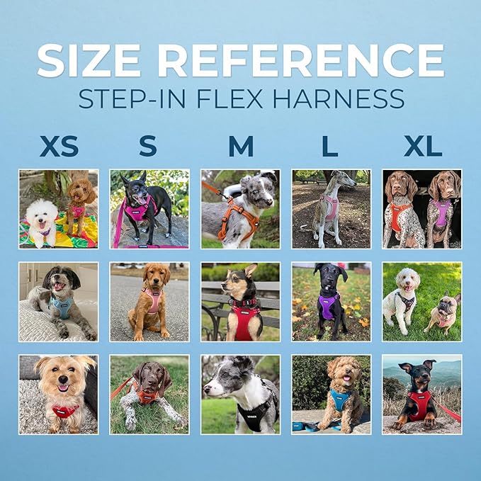 Best Pet Supplies Voyager Adjustable Step-in Flex Breathable Mesh Dog Harness for Small Medium Large Dogs Leash Set (Red), L