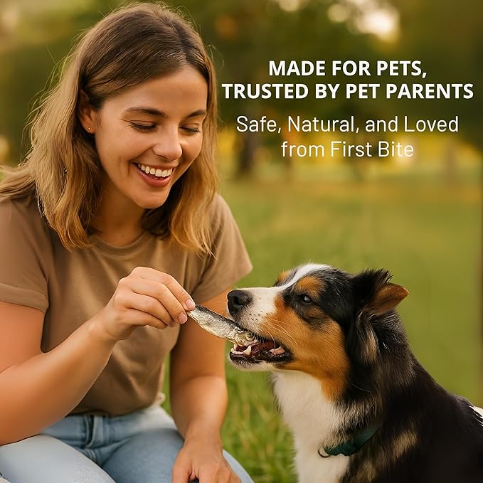 Happy Gluten Free Herring Dog Treats – Wild-Caught Dried Fish for Dogs & Cats – Single Ingredient, High Protein Fish Treats – Made in Alaska, Infused with Turmeric (3.5 oz)