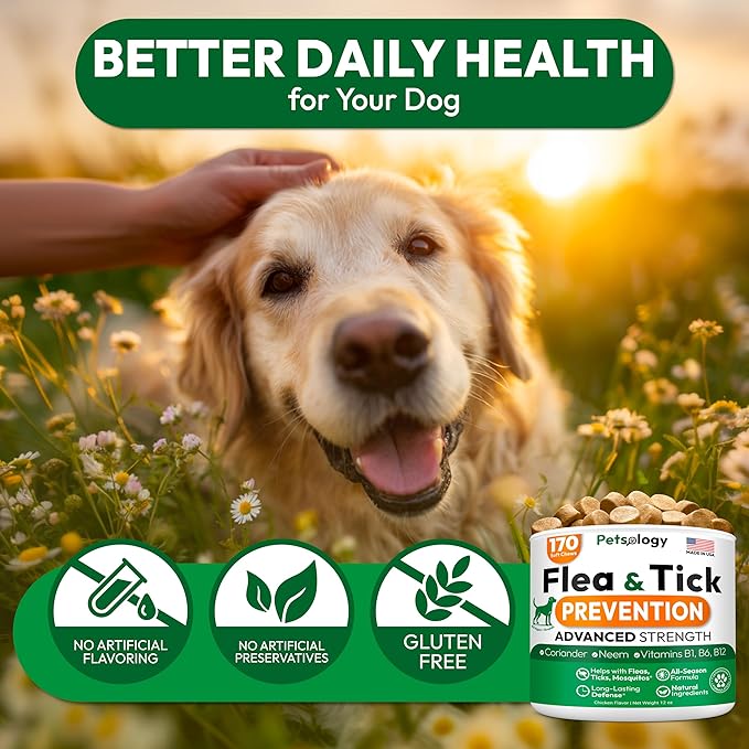 Flea and Tick Prevention for Dogs Pills - Natural Dog Flea & Tick Control - 170 Soft Chewables - Oral Defense Treatment for Dogs Supplement - Vet Formulated Chews - All Breeds & Ages - Made in USA