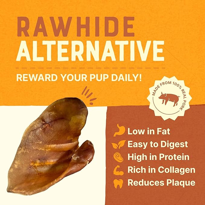Gaines Pet Pig Ears for Dogs - 5 Pack, Thick Cut, All-Natural Whole Ears - No Additives Or Hormones, Safe Rawhide Alternative, Dental Health, Easy to Digest, Great for Small to Large Dogs