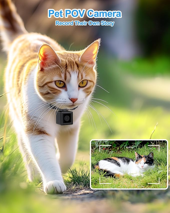 Cat Camera Collar, 1080P Video Recording Cameras for Pets,XS-Size,No App,No Wi-Fi, Cordless Cat & Dog Collar Camera,POV Cam(No Micro-SD Card Included)