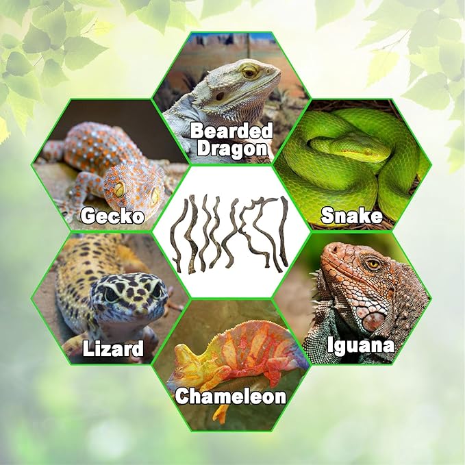 Reptile Decor Natural Forest Branch Terrarium Habitat Decoration Lizard Climbing Tree Branch for Bearded Dragon Gecko Snake Frog Chameleon Spider 8PCS