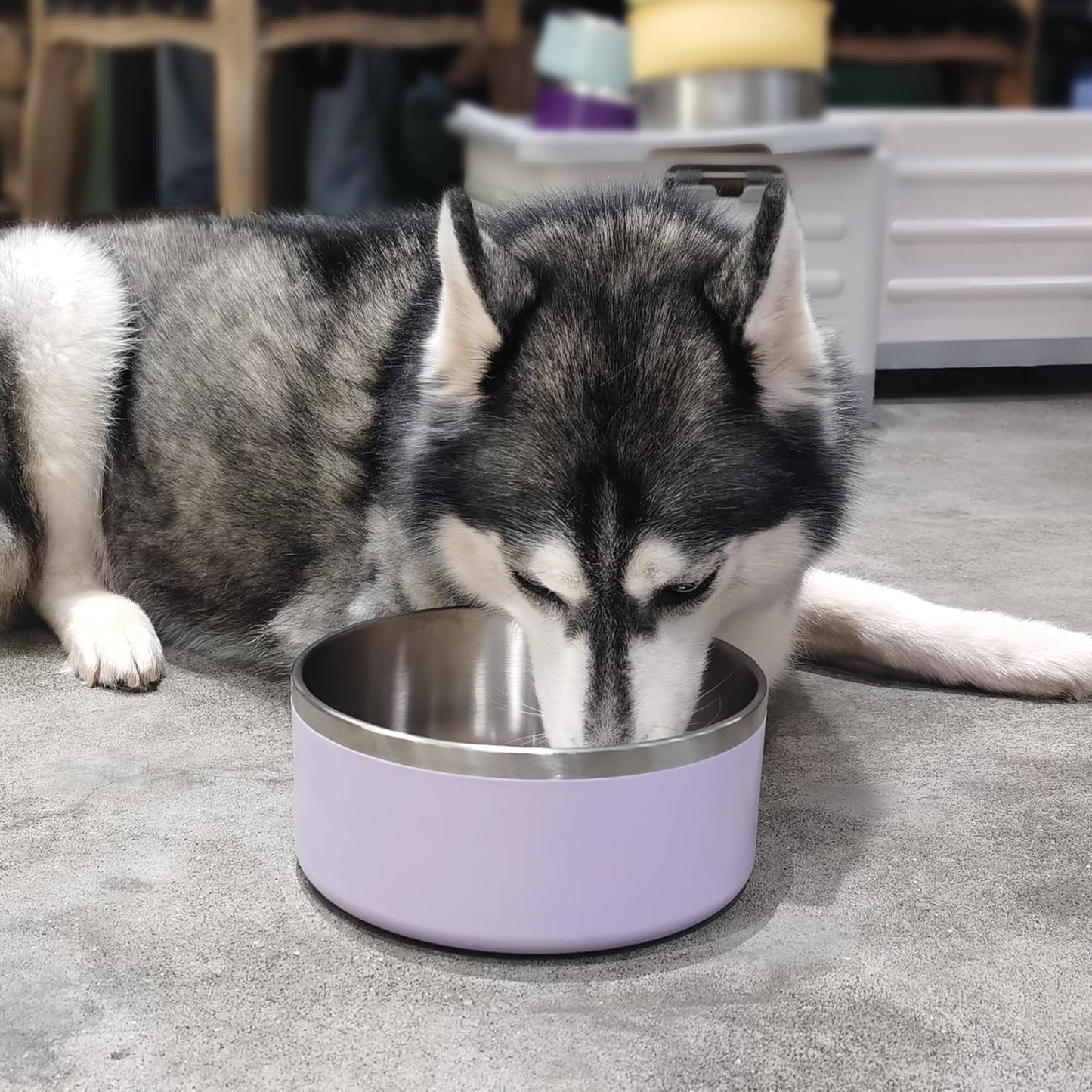 Stainless Steel Dog Bowls, Metal Dog Bowls, Water Bowl for Dogs, Dog Food Bowls, Pet Bowls for Dogs, Dog Dish for Large Dogs, Insulated Dog Bowl, Non Slip Dog Bowl,Easy Clean,64oz,LightPurple