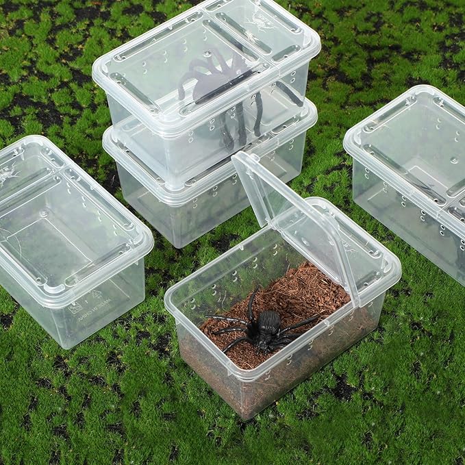 Irenare 8 Pcs Reptile Breeding Box Plastic Spider Terrarium Tarantula Feeding Box for Bearded Dragon Lizard Spider Gecko Scorpion(Vent Holes,Clear,4.33 x 2.76 x 2.95 Inch)