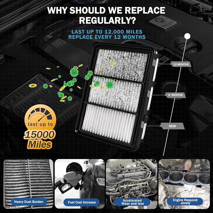 Cabin & Engine Air Filter Set Accessories