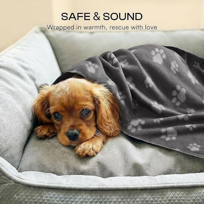 LINENLUX Cute Dog Blanket for Small Medium Dogs 6-Pack Soft Stretchy Fleece Blankets for Pet Cat Puppy Warm Wrinkle-Resistant Throw for Couch Bed Outdoor Grey 40x31 inch (Pack of 6)