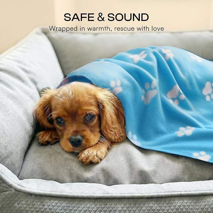 LINENLUX Cute Dog Blanket for Small Medium Dogs 6-Pack Soft Stretchy Fleece Blankets for Pet Cat Puppy Warm Wrinkle-Resistant Throw for Couch Bed Outdoor Light Blue 40x31 inch (Pack of 6)