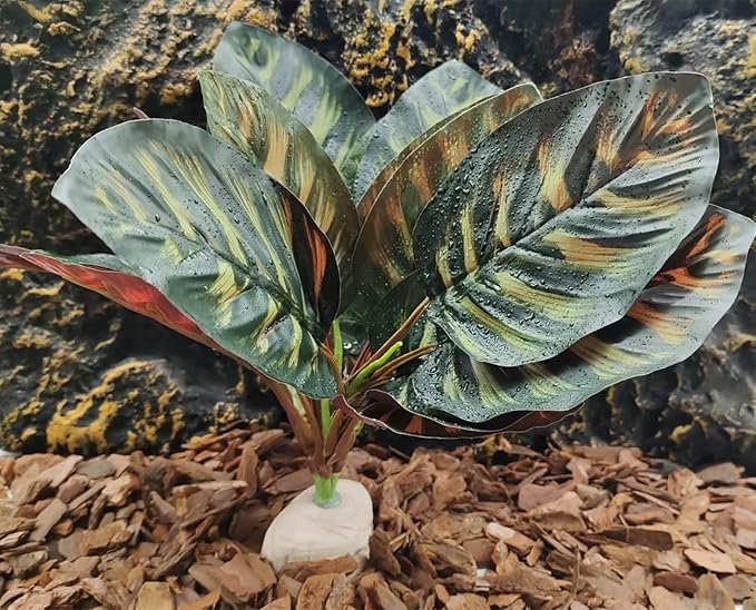 Reptile Terrarium Decor Plants,Amphibian Habitat Decor,Artificial Plants for Tank Accessories (Calathea makoyana -B)
