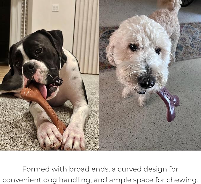 2-Pack Non-Toxic Dog Toys - Sustainable Bacon Flavored Dog Chew Toys for Aggressive Chewers - Plant-Based Bioplastic Pet Toys - Made in The USA (Mini)