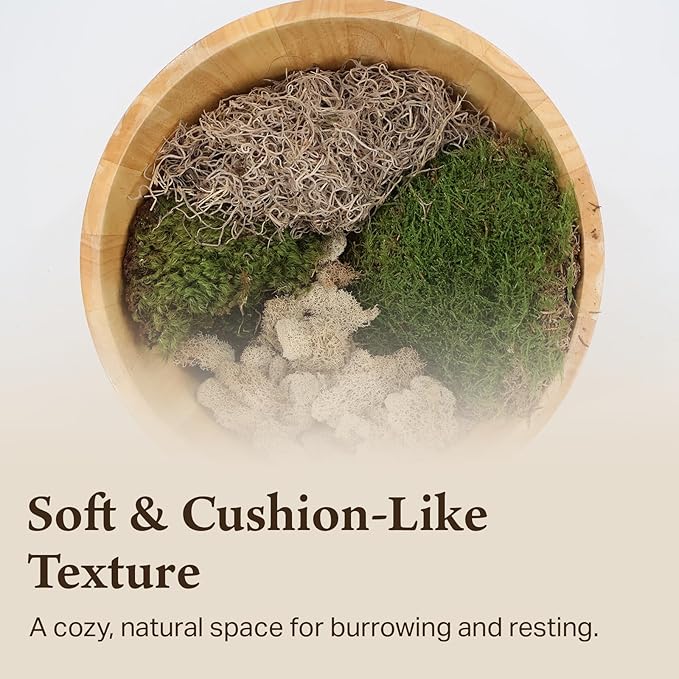The Habitat Life - Natural Variety Pack - Mix of Reindeer, Mood, Sheet & Spanish Moss - for All Terrariums - Humidity Control - Breathable Bedding - Dye-Free & Safe - Small - 1 Pack