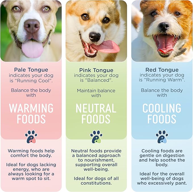 Side by Side Duck Munchies - Cooling Freeze-Dried Dog Treats - Ideal Dog Training Treats, Snack or Reward - Made of Whole Raw Ingredients, Free of Artificial Additives - USA Made (4oz., Pack of 2)