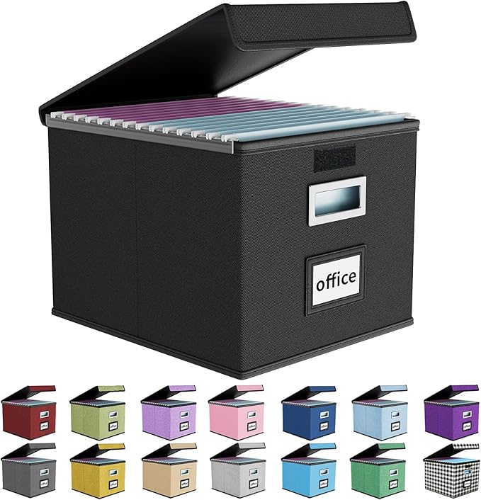Huolewa File Organizer Box with Lid, Collapsible File Folder Organizer for Office Document Storage, Filing Box with Plastic Slide for Letter Size Hanging File Folders(1 Pack, Black)