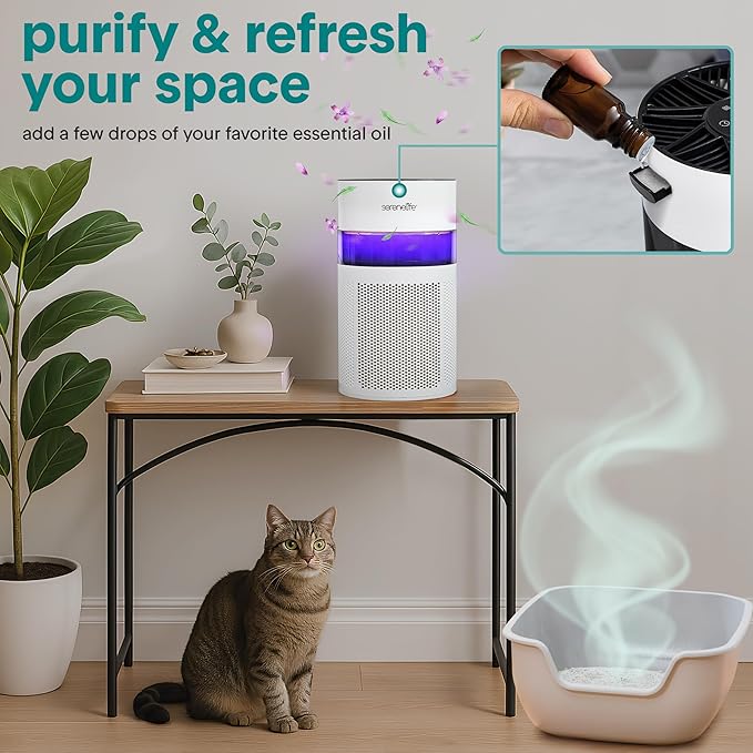 SereneLife Portable Air Purifier - Small Air Purifier with Aroma Box & Ambient Light, High Filtration Efficiency, 2-Speed, Timer & Sleep Mode, Filter Change Reminder, 6 x 6 x 12 in. (White)