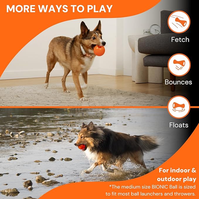 BIONIC Ball Dog Toy, Large - Interactive Dog Chew Toy That Stands Up to The Toughest Chewers, for Dogs Between 30-60+ lbs. (13-27+ kg.)