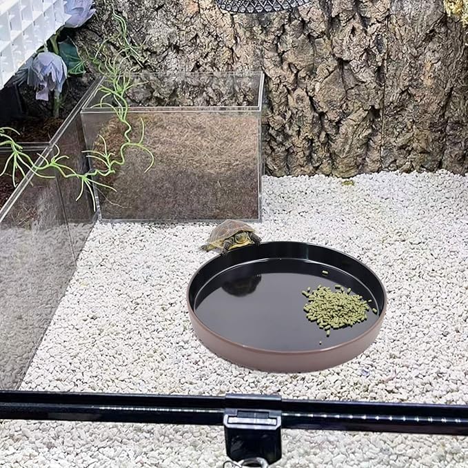 Reptile Feeder Kit, Food Water Bowl, Plastic Round Tortoise Feeding Dish, Amphibian Feeding Bowl, Tank Terrarium Accessories for Bearded Dragon Snake Hermit Crab Turtle Lizard Chameleon - 8 × 8 × 1"