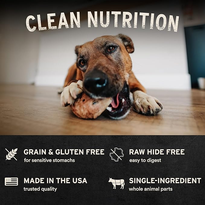 Vital Essentials Freeze-Dried Raw Salmon Skin Dog Treat & Natural Chew, 3-Pack | Single Ingredient Dog Treat for Light Chewers | Made in USA