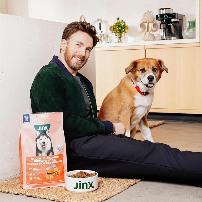Jinx Chicken & Bacon Layers Jerky Dog Treats - Crunchy, All Natural Dog Jerky Treats with Cage-Free Chicken & Bacon - Pet Products for All Dogs (Puppies, Adults & Seniors) - 15oz