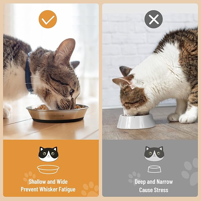 Cat Bowls, 4 Pcs Stainless Steel Pets Bowls for Food and Water, Whisker Fatigue Shallow Non-Slip Cat Dishes Plates for Small Dog Puppies Cats