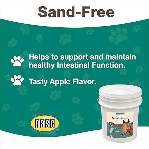 NaturVet Sand Free Horse Powder Supplement – Supports Healthy Intestinal Function, Sand Removal from Ventral Colon – Includes Psyllium Husk, Apple Flavoring – 15 lbs.