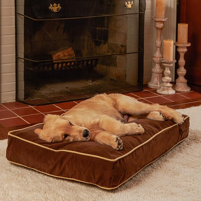 South Pine Porch Buddy Reversible Rectangle Pillow Style Microfiber Dog Bed with Removable, Machine-Washable Cover, Cocoa, Small (36 in. x 24 in.)