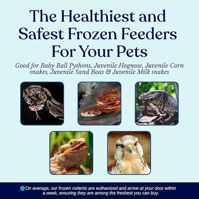 MiceDirect 20 Frozen Rat Fuzzies Feeders Snake Food for Adult Corn Snakes Ball Pythons (2-2.5 in)(180 Grams Min) (20 Count)