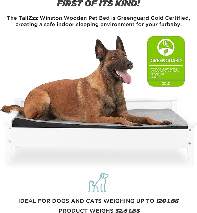 Wooden Dog Bed with Water-Resistant Mattress, Larget to Extra Large Elevated Pet Bed with Calming Pet Mattress, Greenguard Gold Certified, Modern Dog Couch, Winston - TailZzz