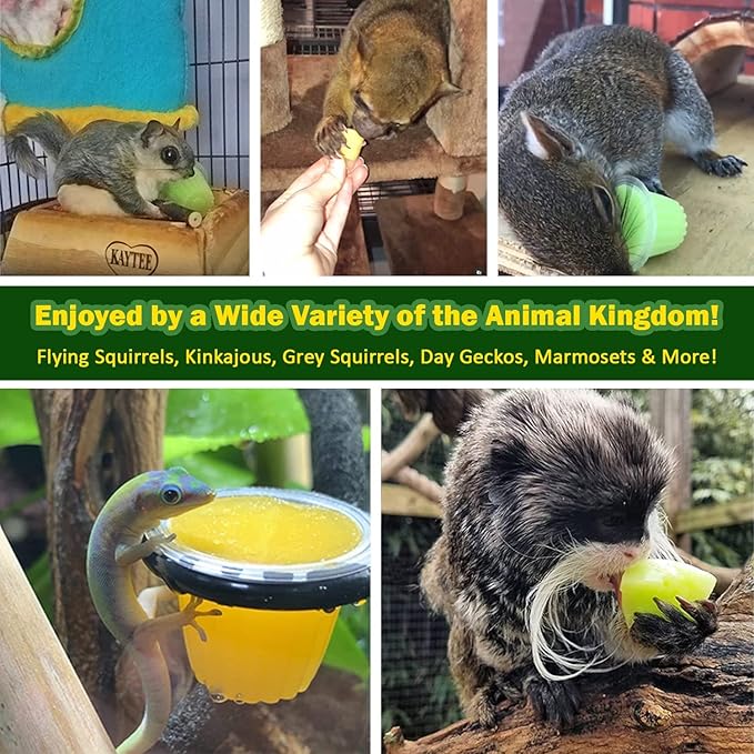 Nectar Pods (Variety 5 Pack) - Calcium-Fortified Jelly Fruit Treat - Sugar Gliders, Marmosets, Squirrels, Parrots, Cockatiels, Parakeets, Birds, Hamsters, Day Geckos, Kinkajous & Other Small Pets…