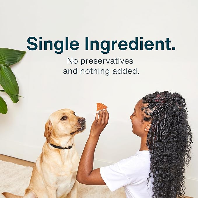 JustFoodForDogs Healthy Dog Treats, Pork, Single-Ingredient, Made in The USA, 5 oz