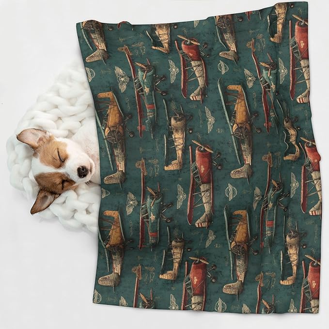 Waterproof Dog Blanket Soft Pet Blanket for Puppy Cat, Fleece Cat Throw Blankets for Furniture Bed Couch Sofa Reversible - Airplanes and Aviation Signs 1