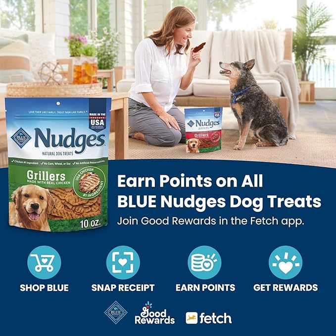 Nudges Blue Buffalo On The Go Dog Treats, Made in The USA with Natural Ingredients, Chicken, 5.5-oz. Bag