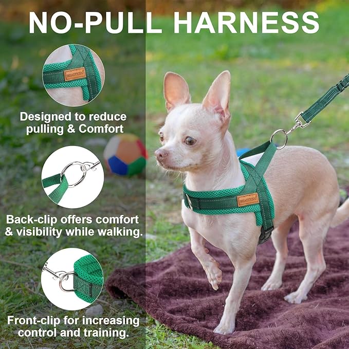 BEAUTYZOO Dog Harness for Small Dogs, No Pull Dog Harness and Leash Set, Soft Escape Proof Puppy Vest Harness with Handle, Reflective Lightweight Step in Harness for Girl Boy Dogs, Green S
