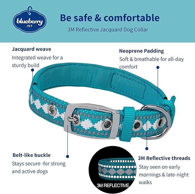 Blueberry Pet Reflective Jacquard Dog Collar with Neoprene Padding & Metal Buckle | Soft & Adjustable Safety Collar - Peacock, Neck 9-12.5", for Small Breed
