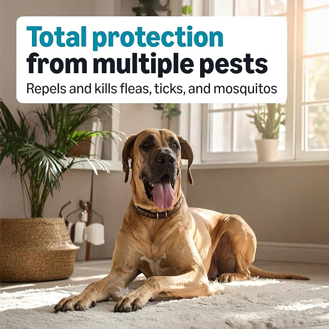 Amazon Basics Preventative Flea, Tick & Mosquito Topical Treatment for X-Large Dog (Over 55 Pounds), 4 Count, Packaging May Vary