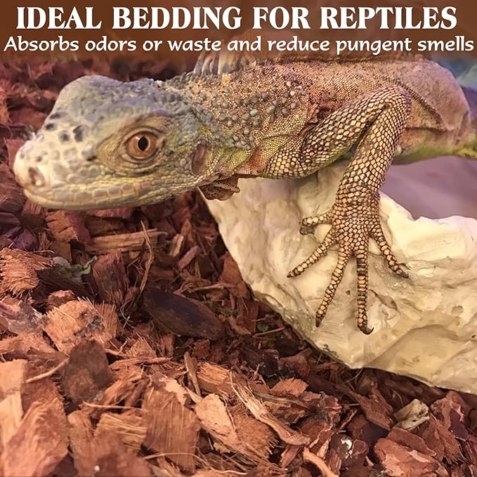 ZeeDix 10LBS Coconut Husk Chip Substrate for Reptiles, 72QT Compressed Organic Coco Coir Chips for Snake Habitat, Reptile Bedding for Ball Python, Tortoises, Geckos, Lizards Terrarium Tanks