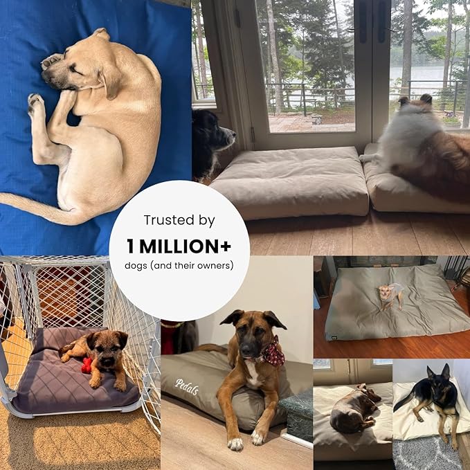 K9 Ballistics Tough Rectangle Pillow Dog Bed - Removable Cover, Washable, Durable & Water Resistant Dog Bed - Large, Sage Green
